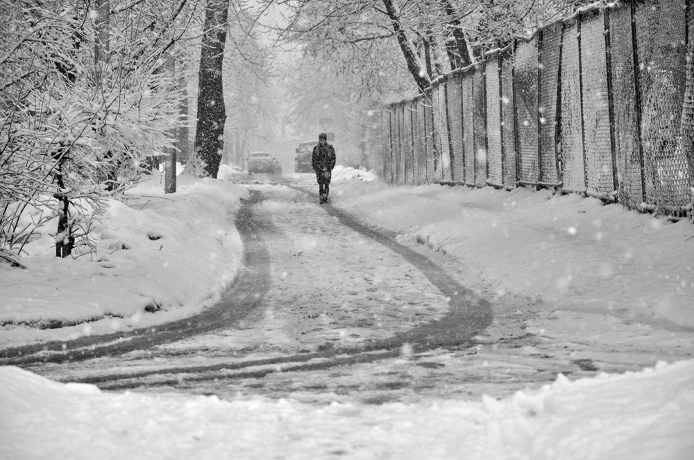 Фотографія зимний день / photolapa / photographers.ua