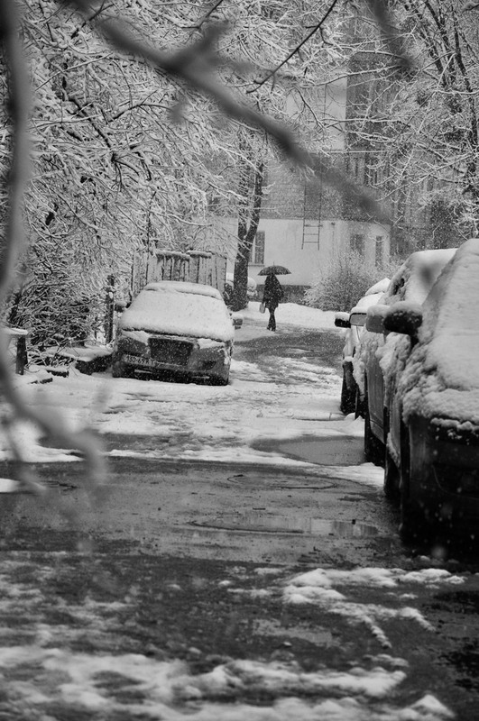 Фотографія Снегопад / photolapa / photographers.ua