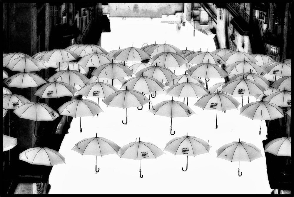 Фотографія rain of umbrellas / photolapa / photographers.ua