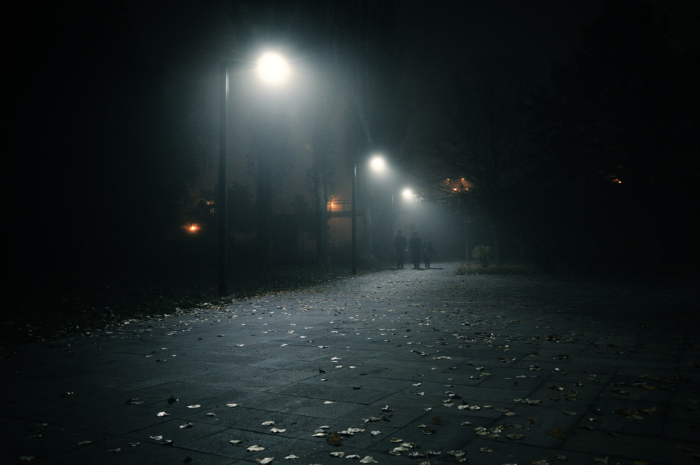Фотографія в туманном городе осень... / photolapa / photographers.ua