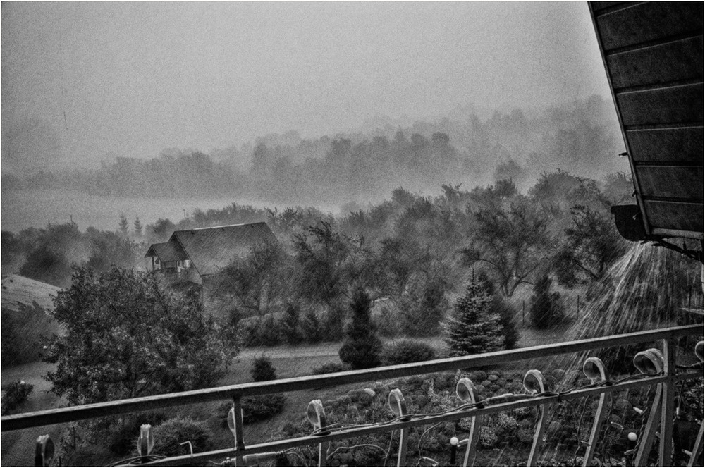 Фотографія люблю смотреть на дождь из своего окна... / photolapa / photographers.ua