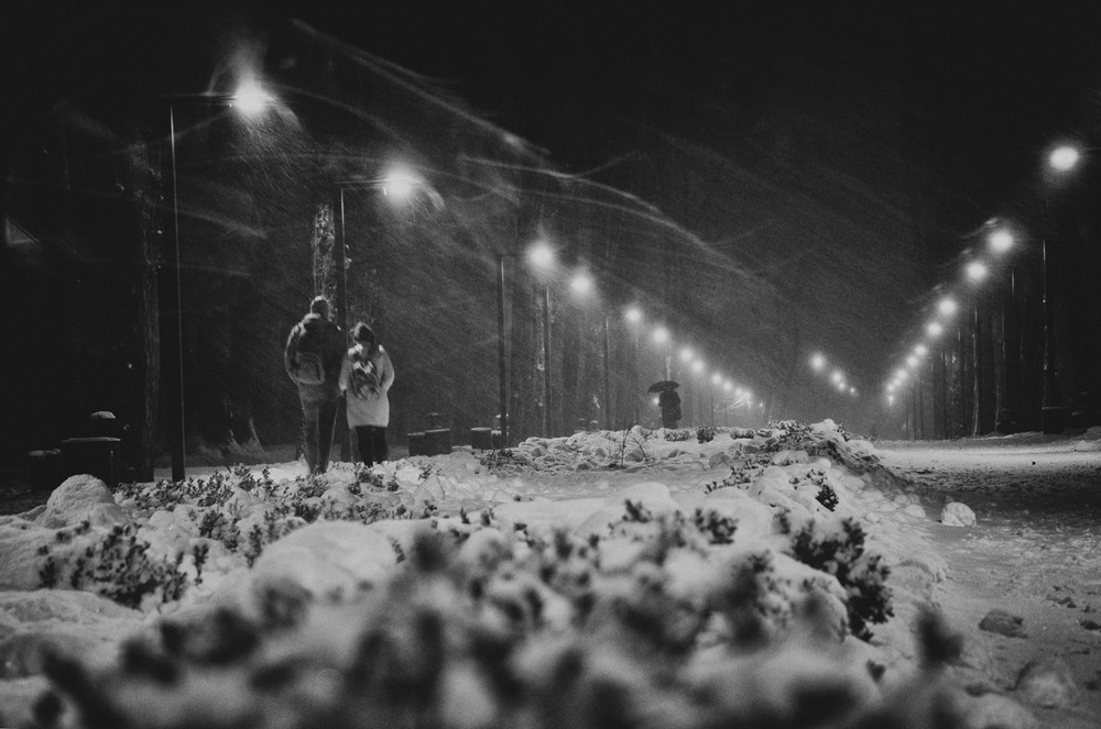 Фотографія снігова буря / photolapa / photographers.ua