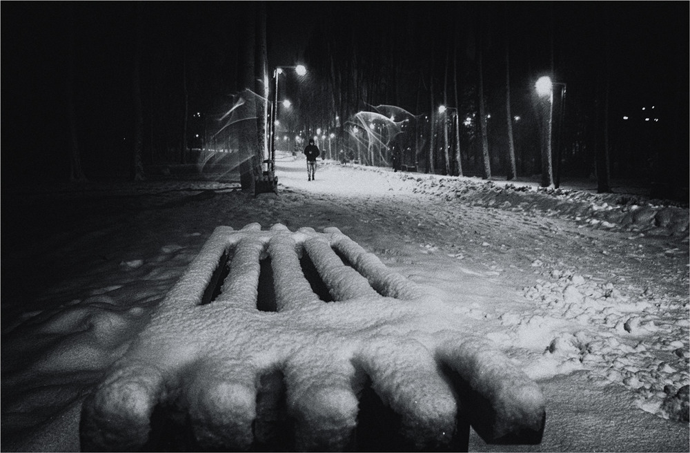 Фотографія night snowfall / photolapa / photographers.ua