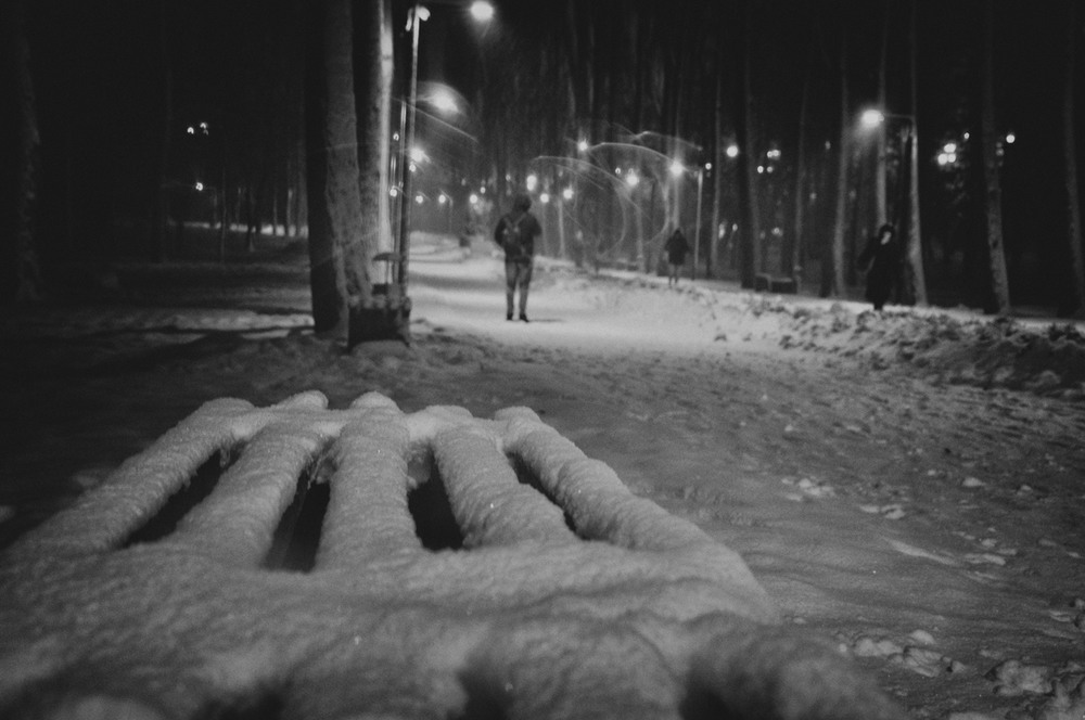 Фотографія завьюженый декабрь / photolapa / photographers.ua