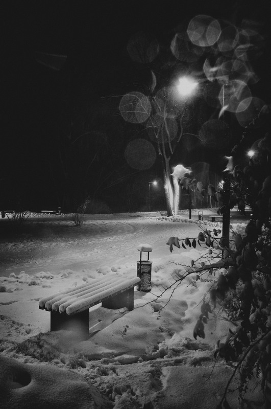 Фотографія фантазия зимы / photolapa / photographers.ua