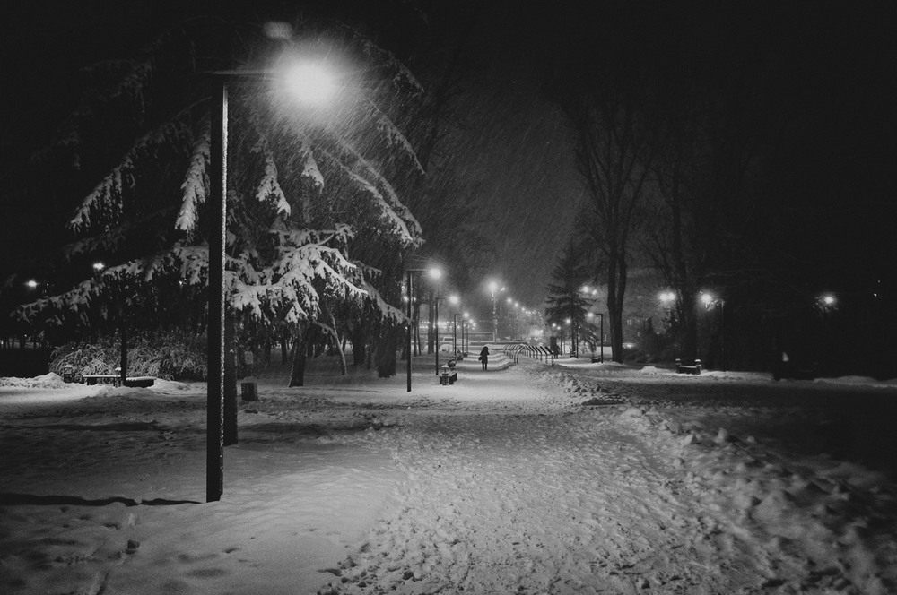 Фотографія ...вспоминая зиму... / photolapa / photographers.ua