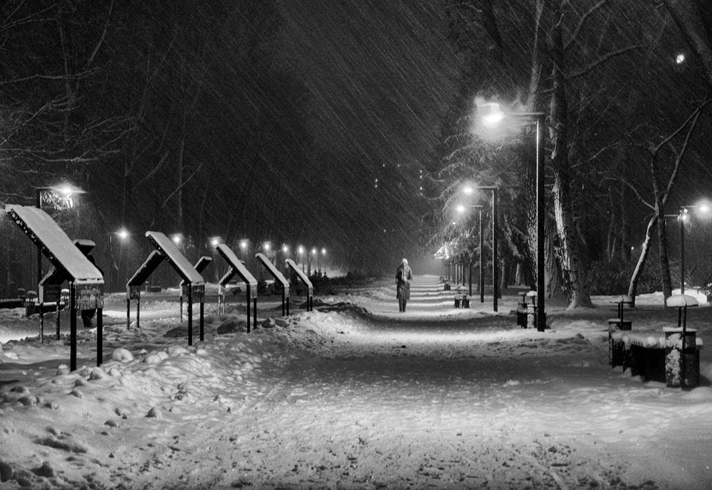 Фотографія Вокруг лишь снег...В городе моем метель... / photolapa / photographers.ua