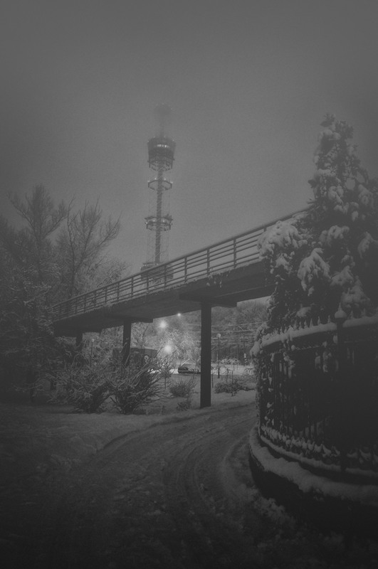 Фотографія в обіймах снігового туману / photolapa / photographers.ua