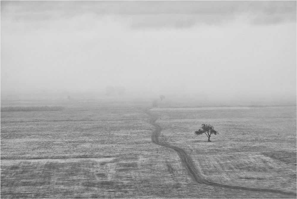 Фотографія утренний туман / photolapa / photographers.ua