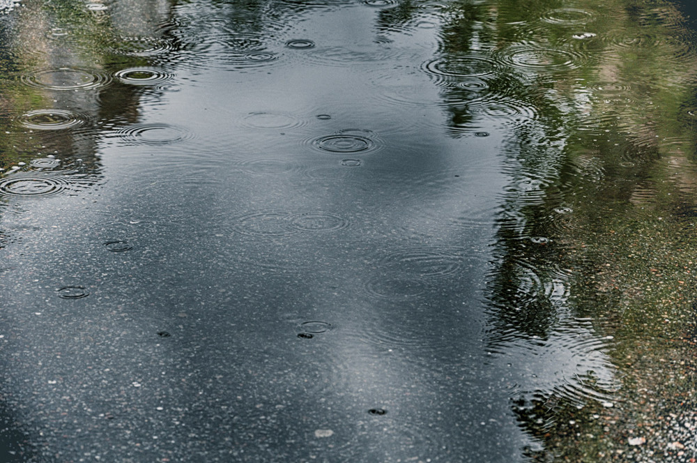 Фотографія цей дощ надовго... / photolapa / photographers.ua