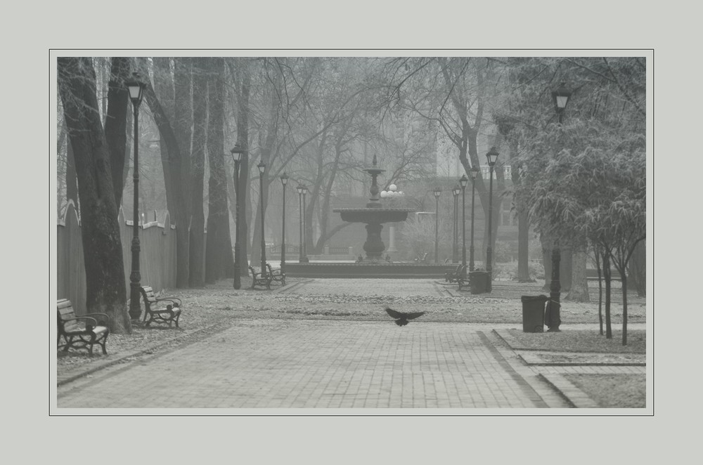 Фотографія В тиши задремавшего парка... / photolapa / photographers.ua
