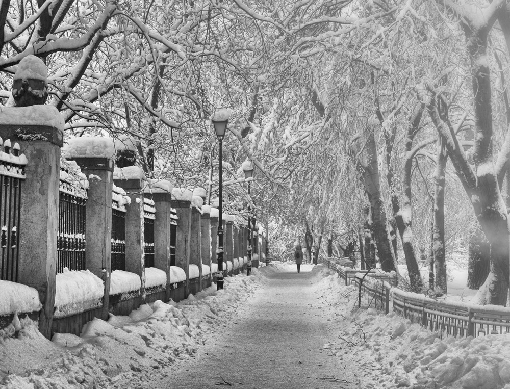 Фотографія в тиши задумчивого парка... / photolapa / photographers.ua