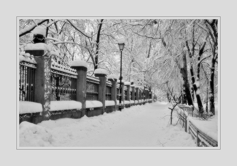 Фотографія Черно-белая зима / photolapa / photographers.ua