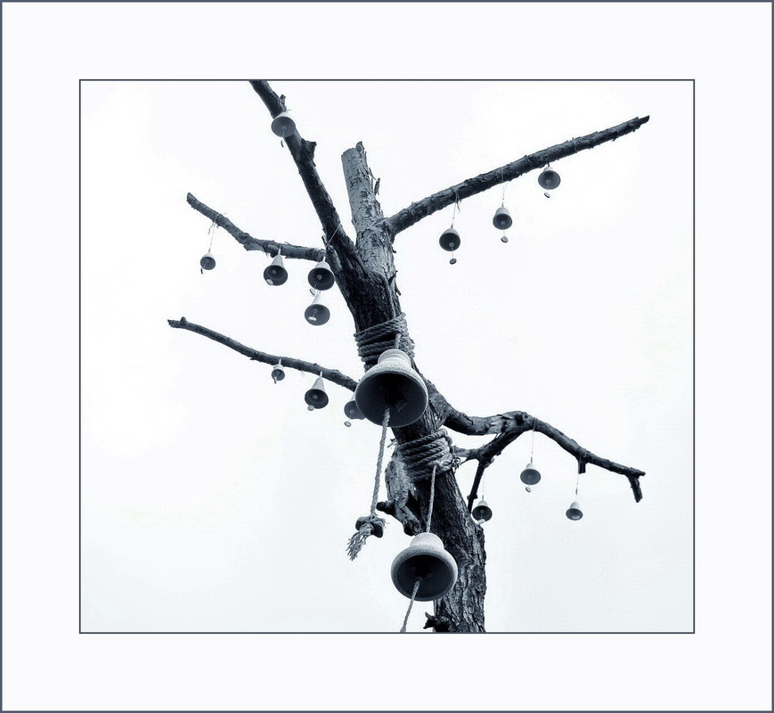 Фотографія Чудо-дерево / photolapa / photographers.ua