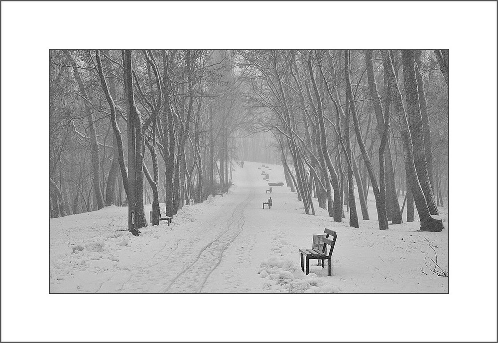 Фотографія Зимний этюд / photolapa / photographers.ua