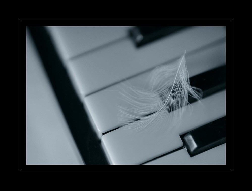 Фотографія Там ангел пролетал, крылом касаясь... / photolapa / photographers.ua