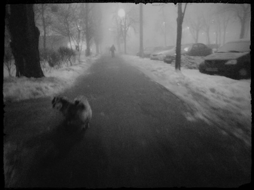 Фотографія утро в тумане / photolapa / photographers.ua