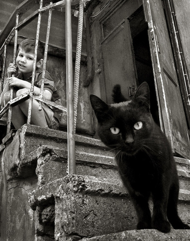 Фотографія мальчик и кот / Синельников Александр / photographers.ua