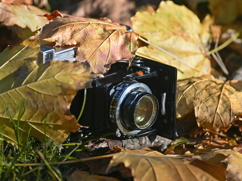 Фотографія Осень-фотографическая пора / Синельников Александр / photographers.ua