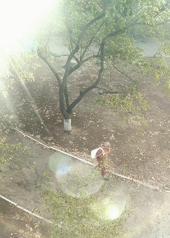 Фотографія Утро за окном / Синельников Александр / photographers.ua