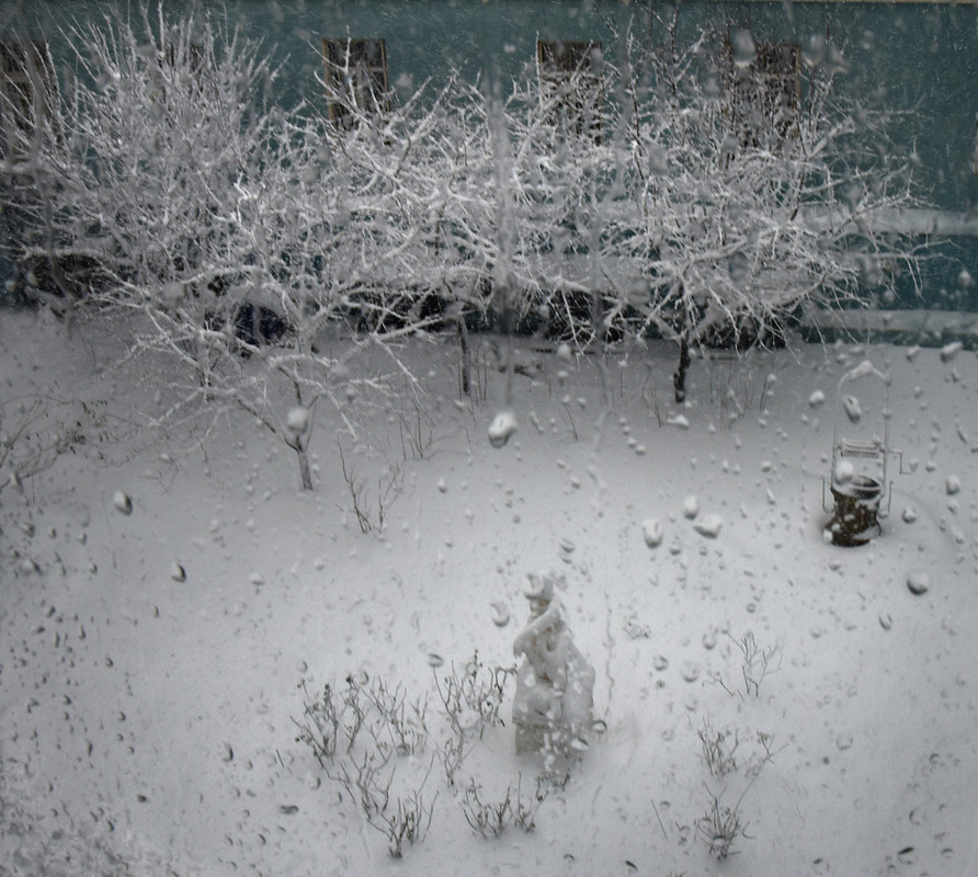 Фотографія зима за окном / Синельников Александр / photographers.ua