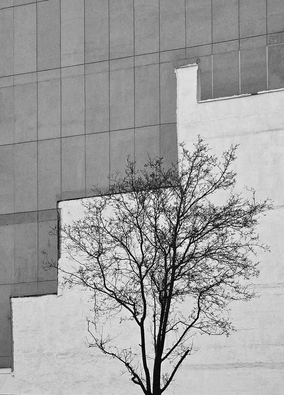 Фотографія Городской фрагмент / Синельников Александр / photographers.ua