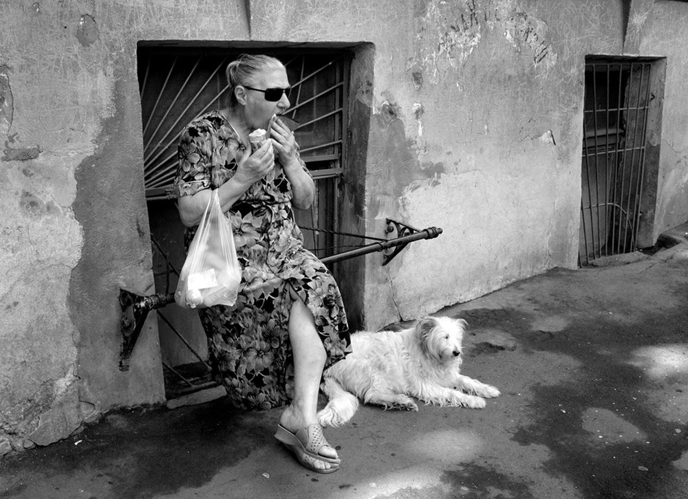 Фотографія дама с собачкой / Синельников Александр / photographers.ua