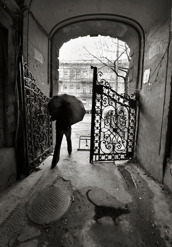 Фотографія кот, зонтик, ворота / Синельников Александр / photographers.ua