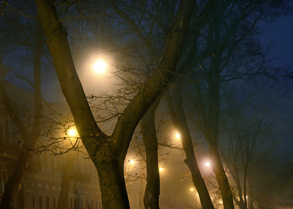 Фотографія Вечерний туман / Синельников Александр / photographers.ua