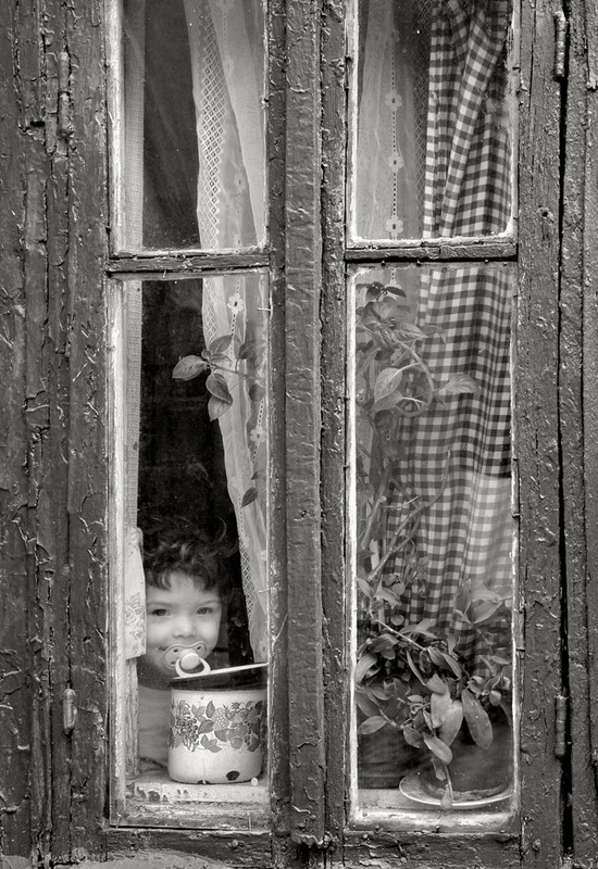 Фотографія окно в мир / Синельников Александр / photographers.ua