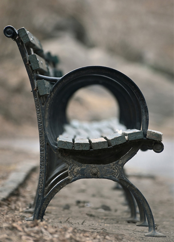 Фотографія Скамейка в парке / Синельников Александр / photographers.ua