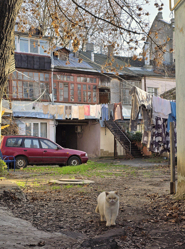 Фотографія Двор на Молдаванке / Синельников Александр / photographers.ua