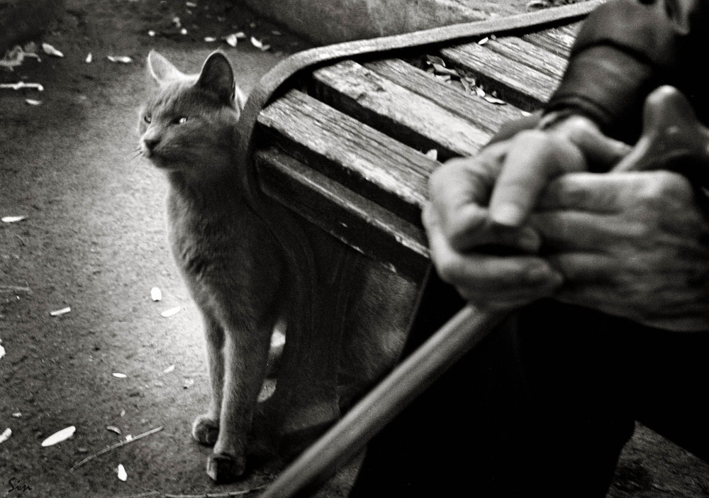 Фотографія из серии "одиночество" / Синельников Александр / photographers.ua
