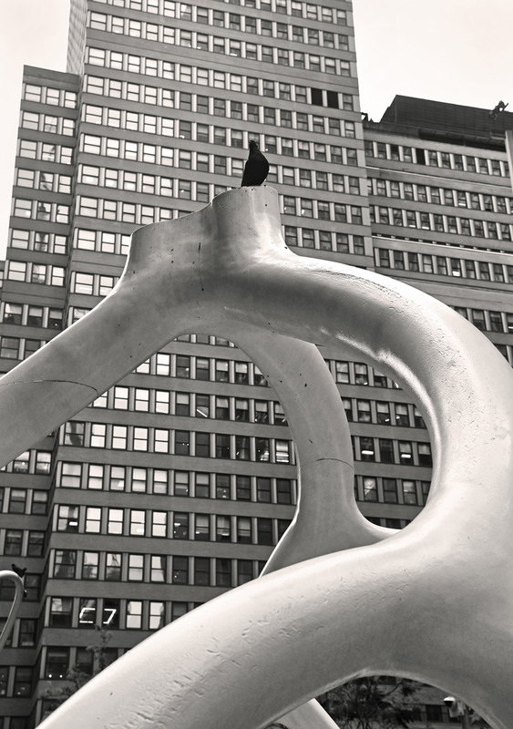 Фотографія Важная птица / Синельников Александр / photographers.ua