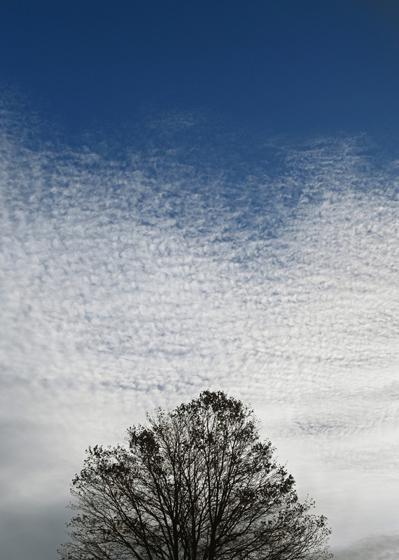Фотографія Небо осени / Синельников Александр / photographers.ua