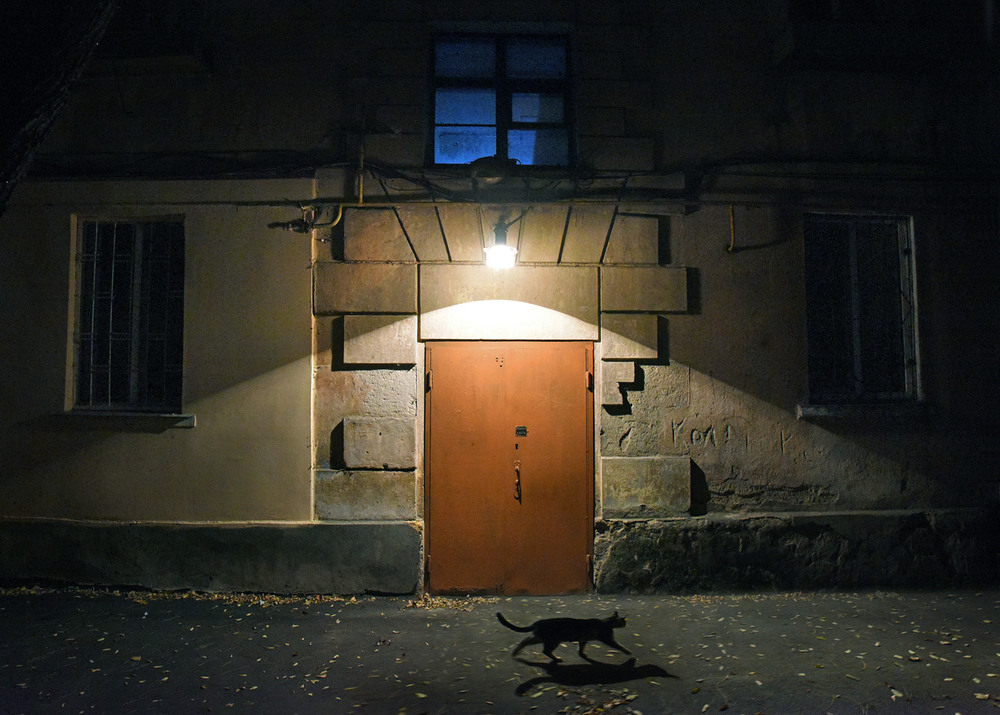 Фотографія ночная прогулка / Синельников Александр / photographers.ua