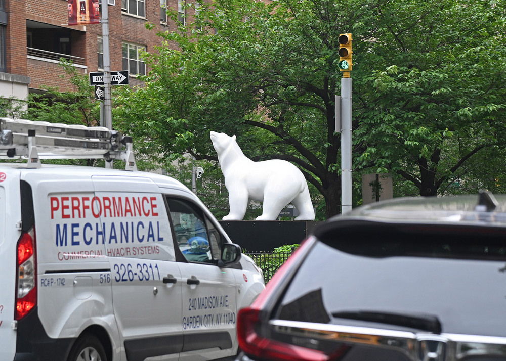 Фотографія Белые в городе / Синельников Александр / photographers.ua