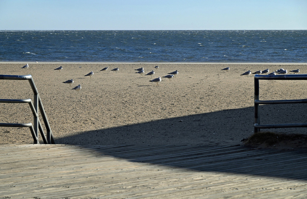 Фотографія Брайтон Бич / Синельников Александр / photographers.ua