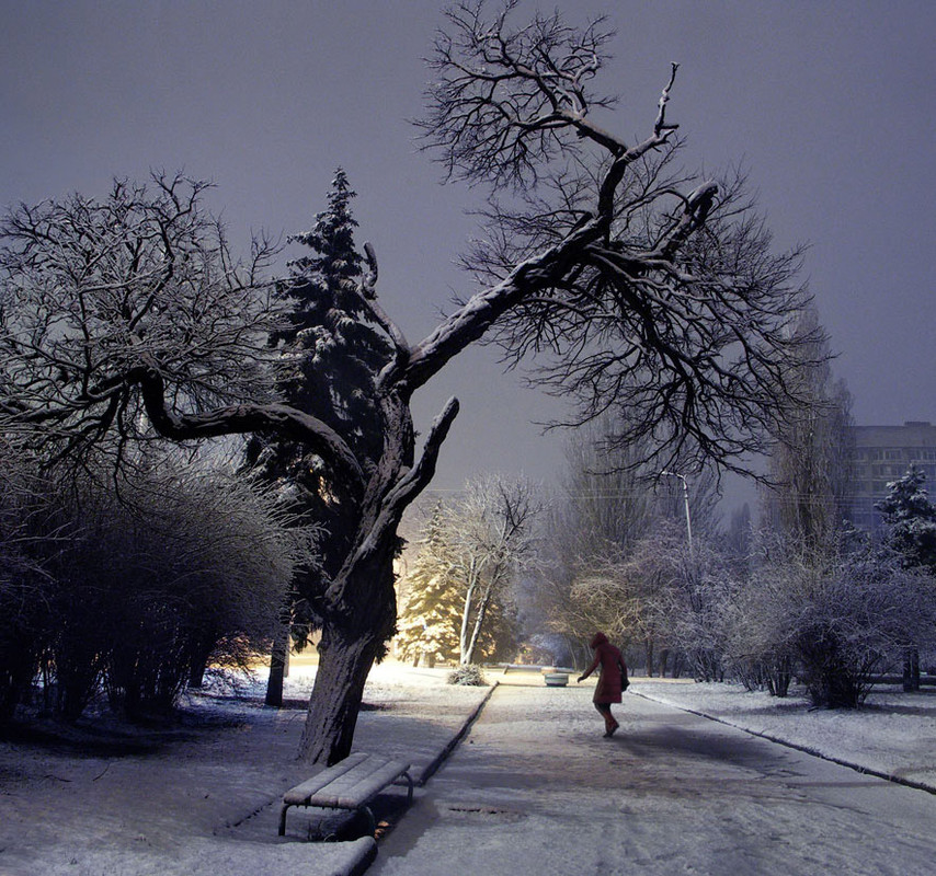 Фотографія зимний этюд / Синельников Александр / photographers.ua