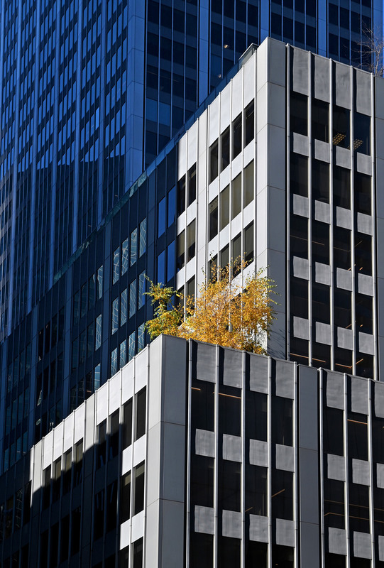 Фотографія Осень и город / Синельников Александр / photographers.ua