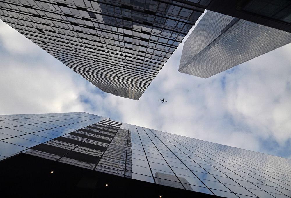 Фотографія Стремящиеся к облакам / Синельников Александр / photographers.ua