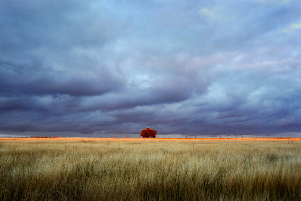 Фотографія в луче заката / Синельников Александр / photographers.ua