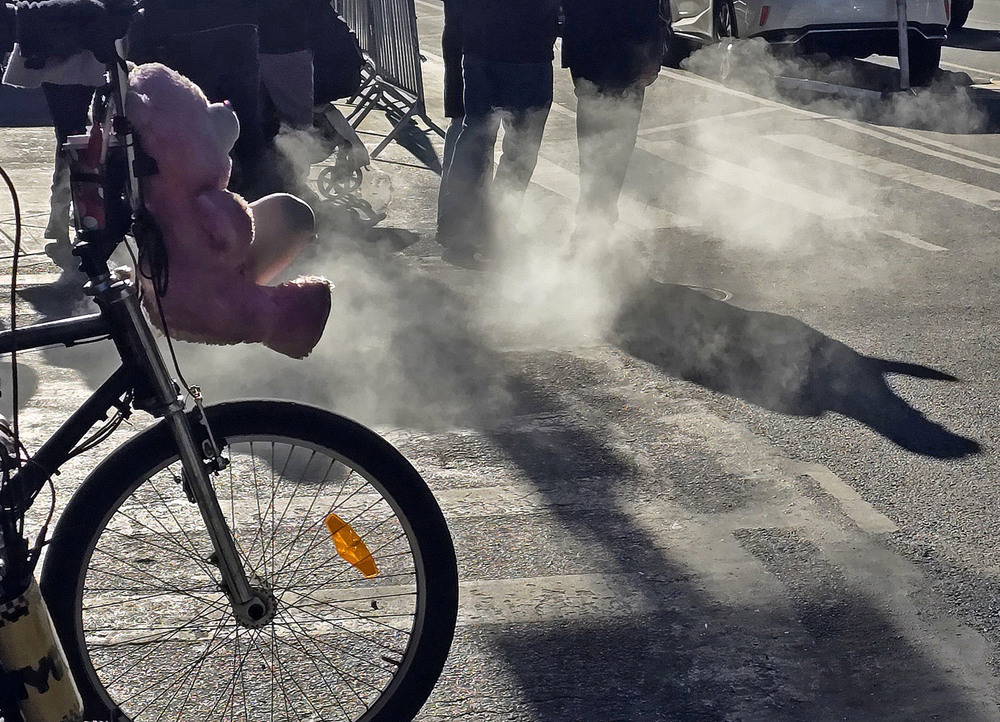 Фотографія Розовый медведь / Синельников Александр / photographers.ua