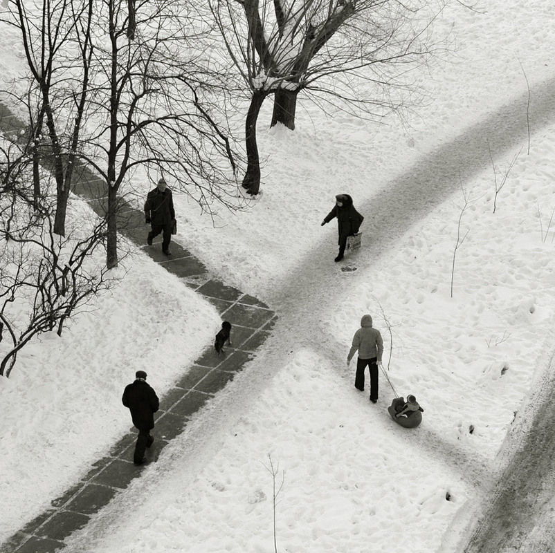 Фотографія зимний перекресток / Синельников Александр / photographers.ua