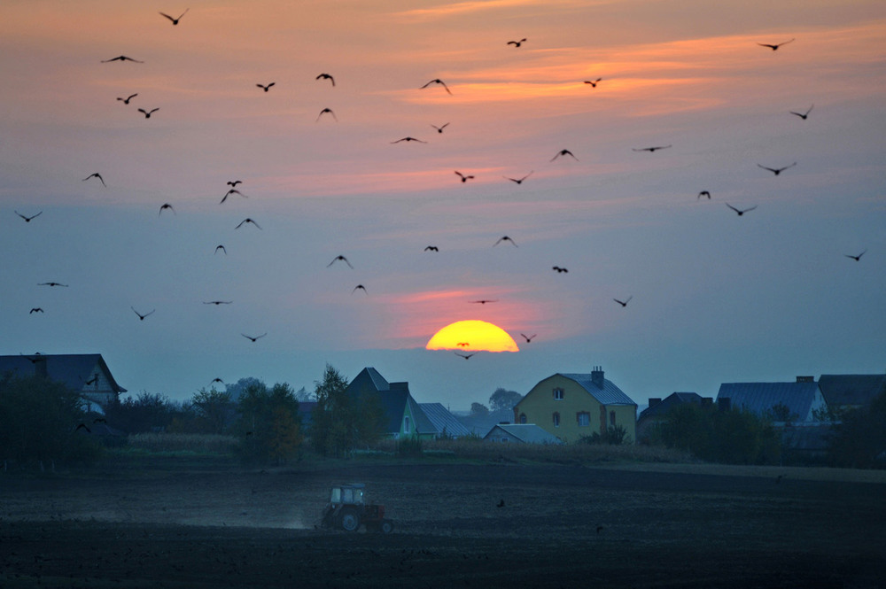 Фотографія закат под Ровно / Синельников Александр / photographers.ua