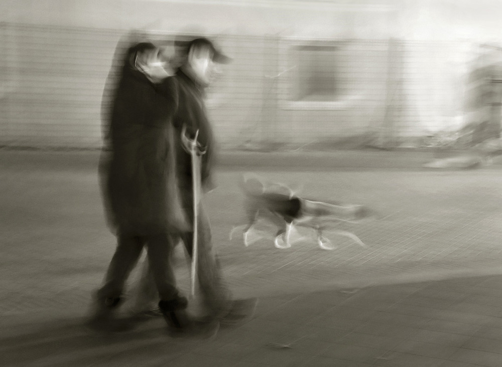 Фотографія прогулка с собакой / Синельников Александр / photographers.ua