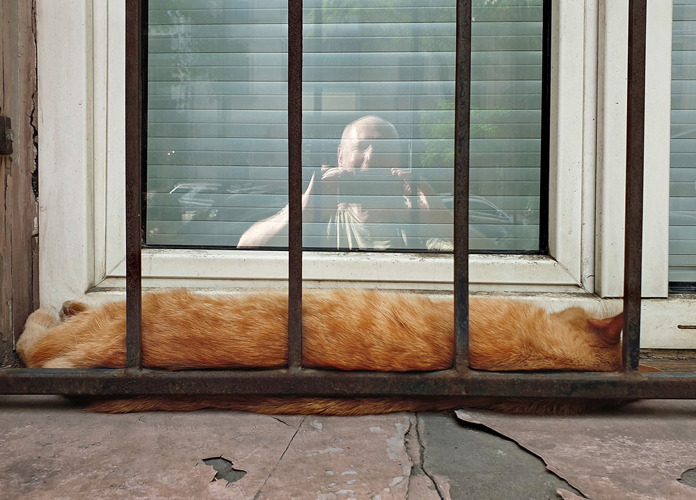 Фотографія Автопортрет со спящим котом / Синельников Александр / photographers.ua