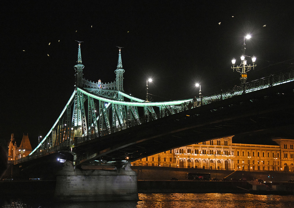 Фотографія мост Свободы. Будапешт / Синельников Александр / photographers.ua