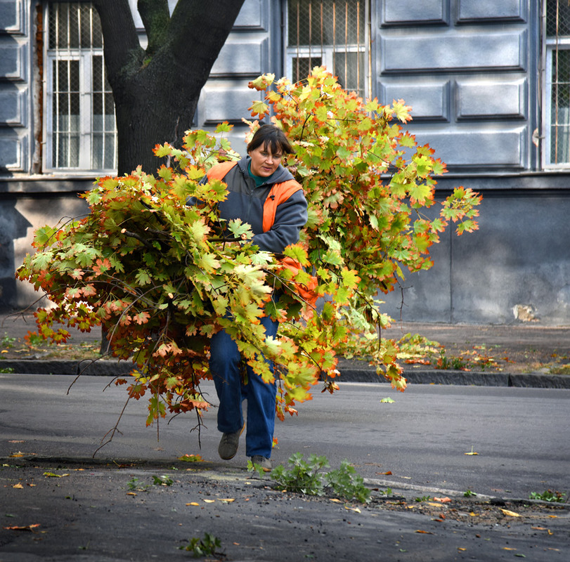 Фотографія осень уходит / Синельников Александр / photographers.ua