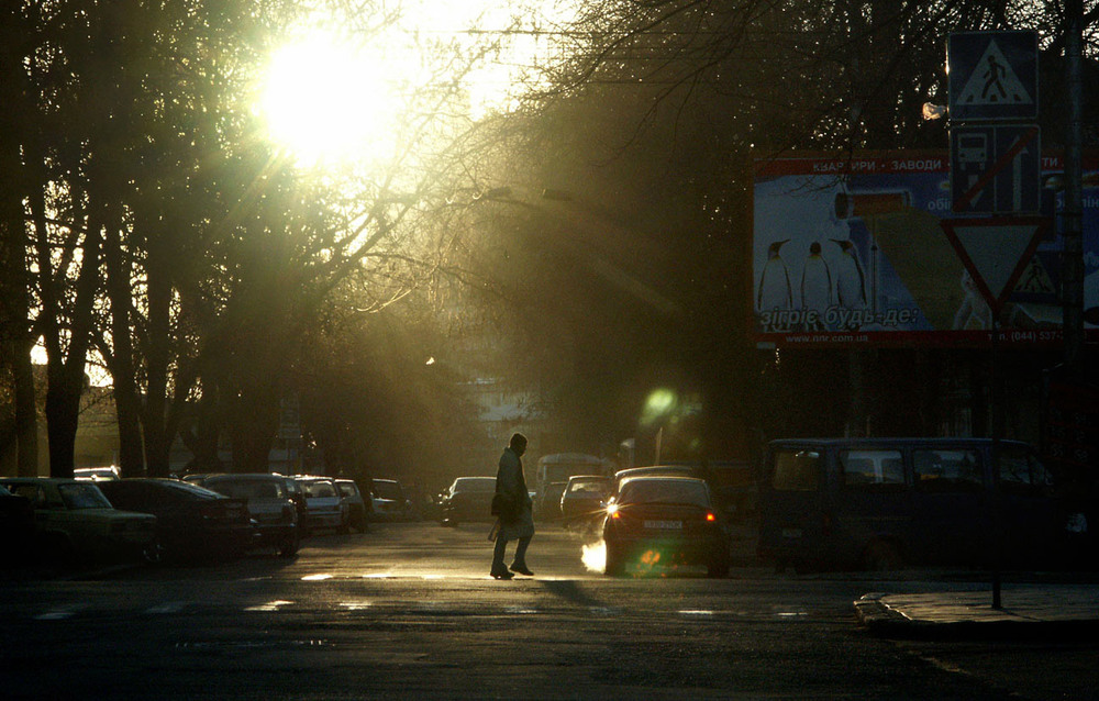 Фотографія вечерний свет / Синельников Александр / photographers.ua